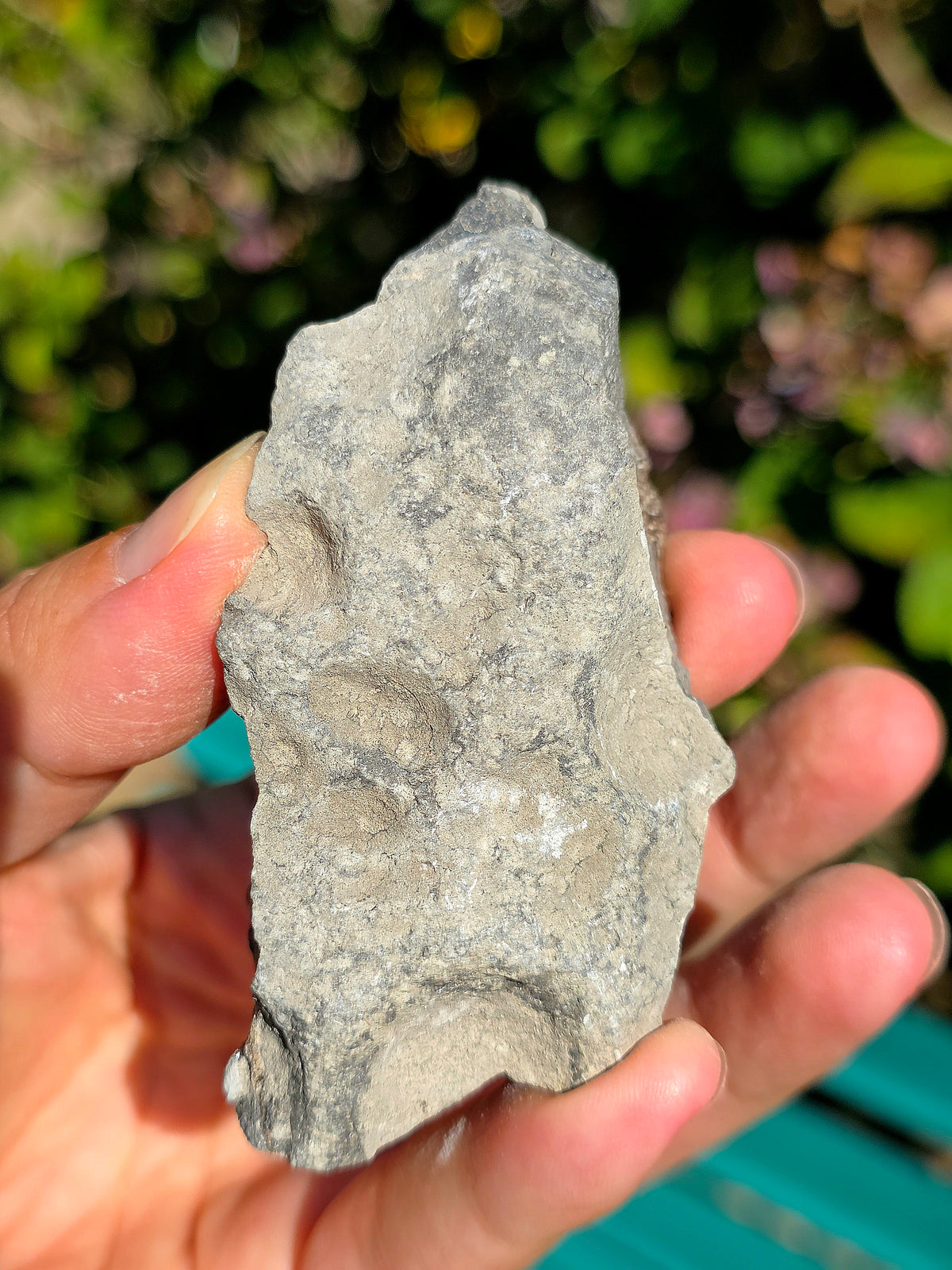 Baryte dans de la Septaria brute de la Drôme