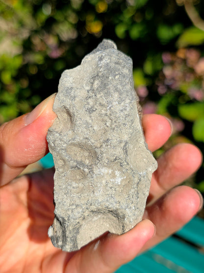 Baryte dans de la Septaria brute de la Drôme