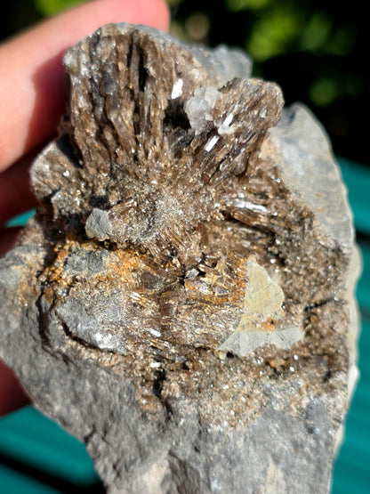 Baryte dans de la Septaria brute de la Drôme