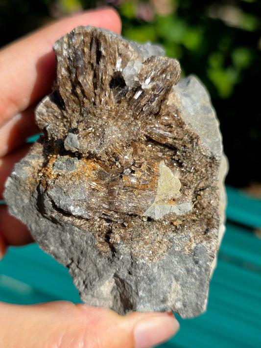 Baryte dans de la Septaria brute de la Drôme
