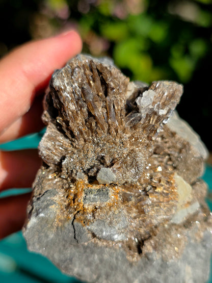 Baryte dans de la Septaria brute de la Drôme