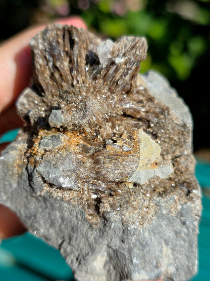 Baryte dans de la Septaria brute de la Drôme