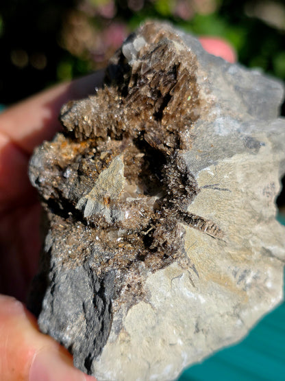 Baryte dans de la Septaria brute de la Drôme
