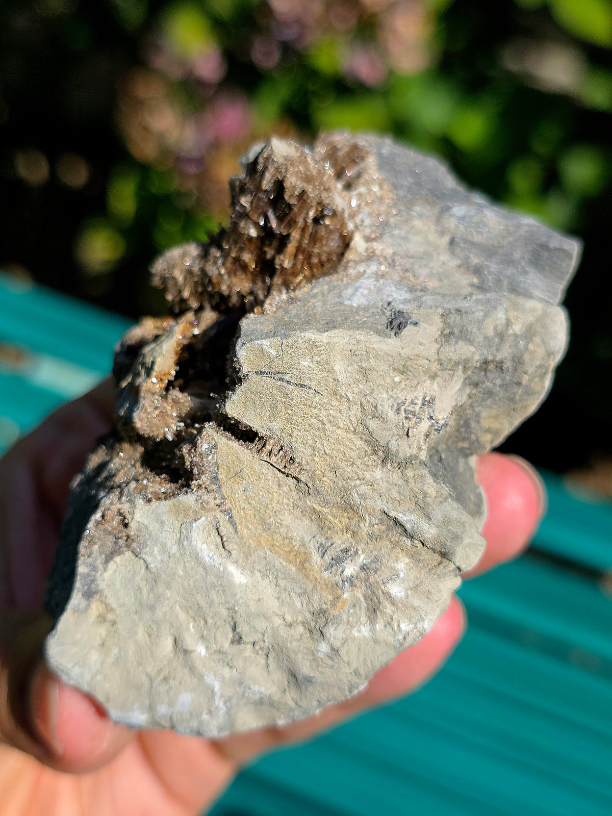 Baryte dans de la Septaria brute de la Drôme