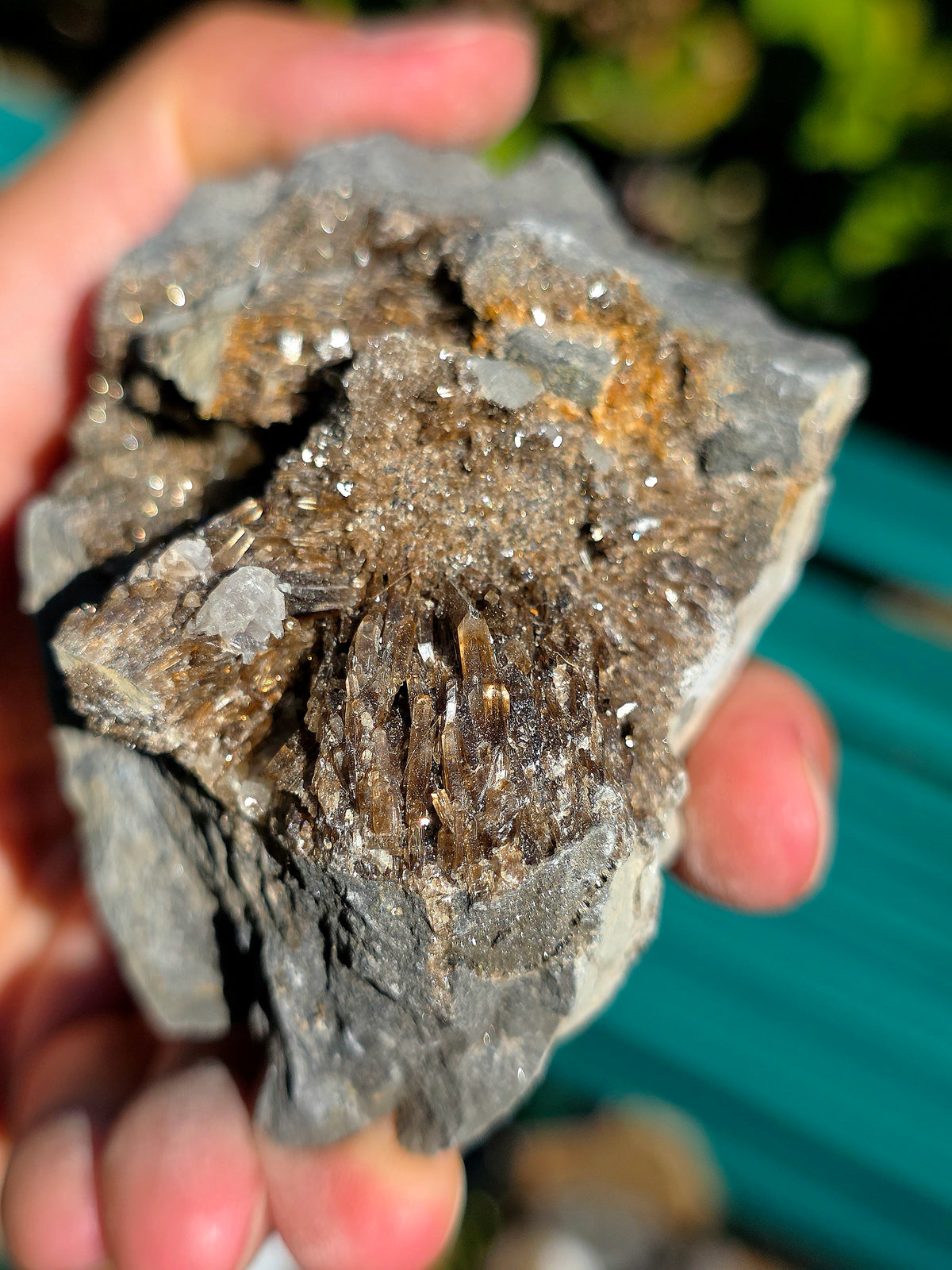 Baryte dans de la Septaria brute de la Drôme