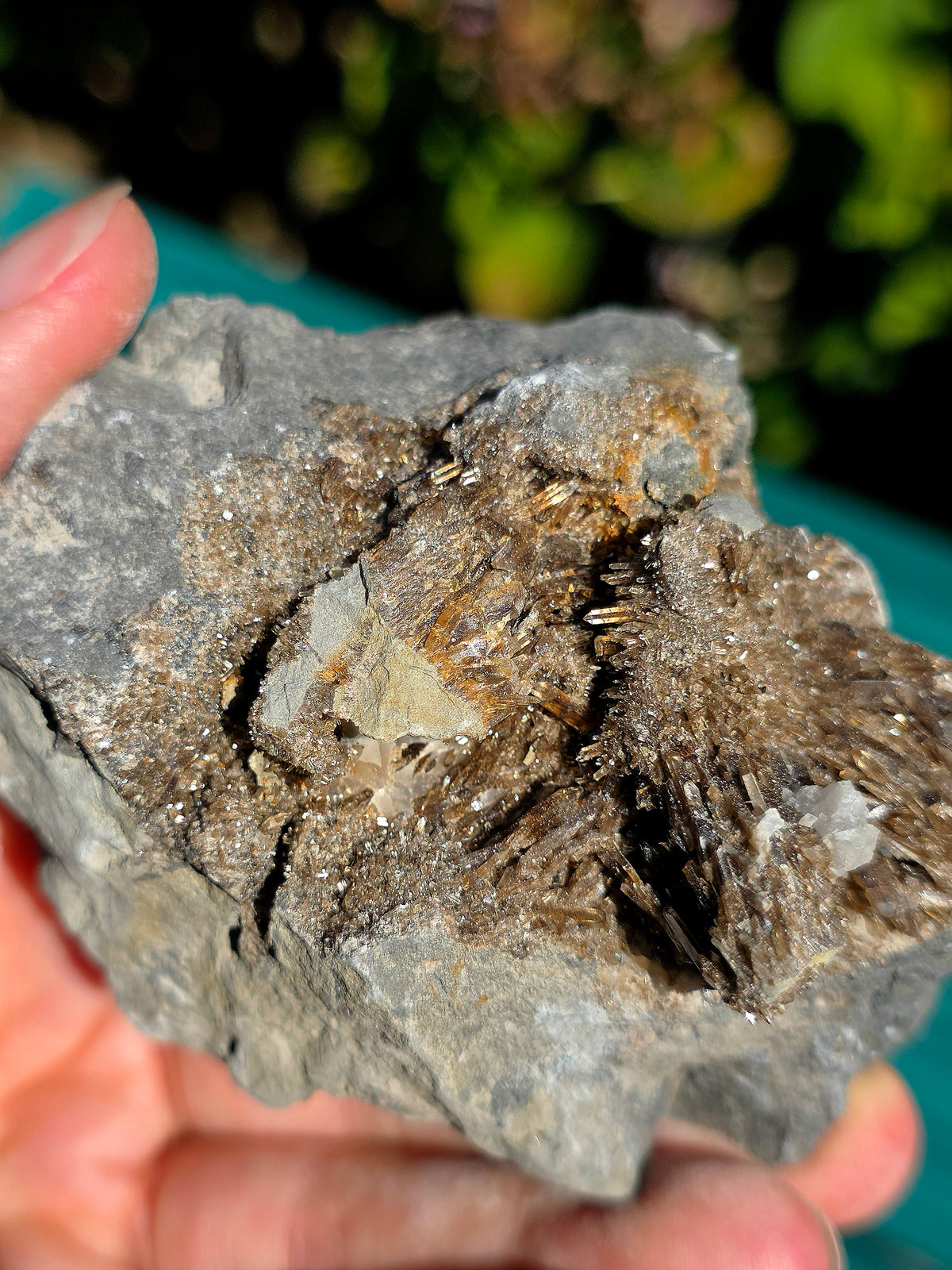Baryte dans de la Septaria brute de la Drôme