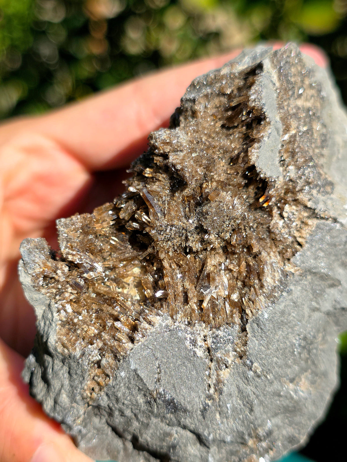 Magnifique Baryte dans de la Septaria française