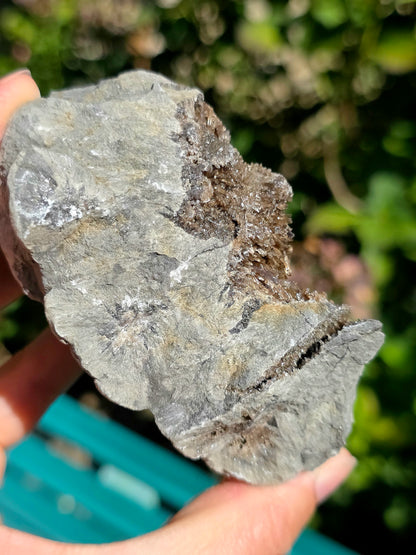 Magnifique Baryte dans de la Septaria française