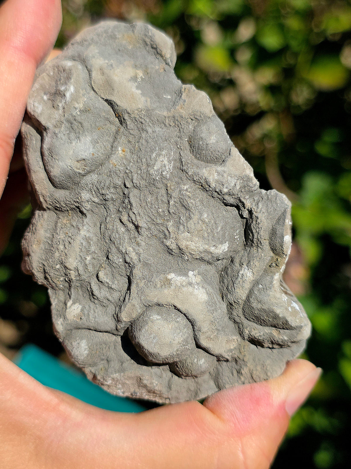 Magnifique Baryte dans de la Septaria française