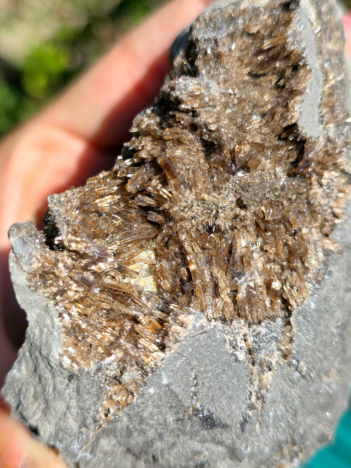 Baryte dans Septaria de la Drôme n°3