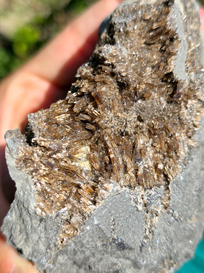 Baryte dans Septaria de la Drôme n°3