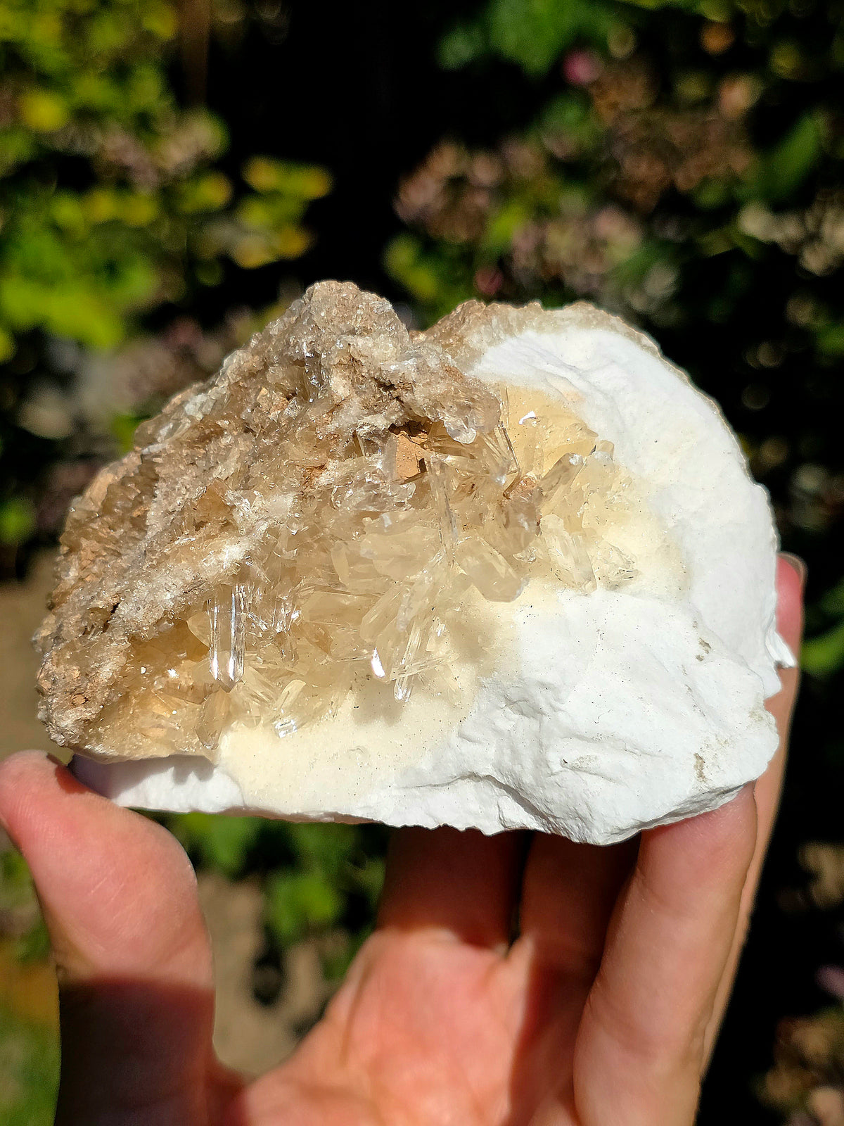 Gypse sur Albâtre de Saragosse en Espagne