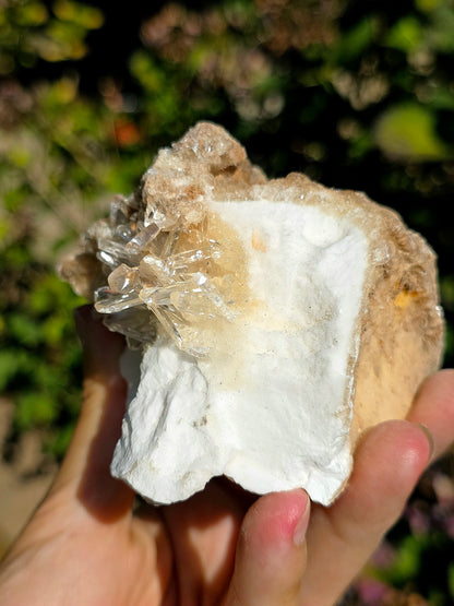 Gypse sur Albâtre de Saragosse en Espagne