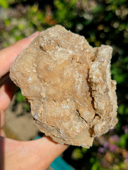 Gypse sur Albâtre de Saragosse en Espagne