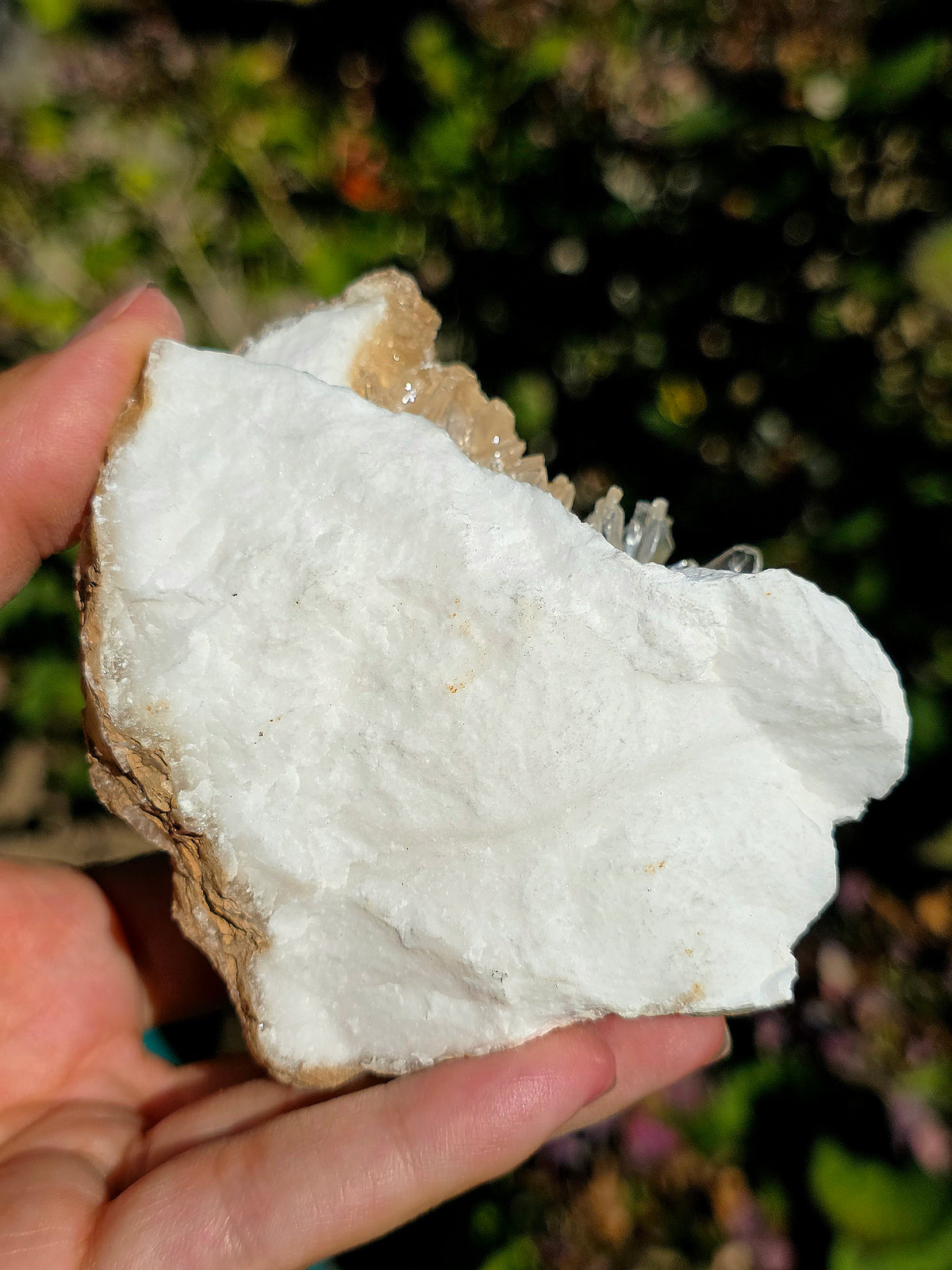 Gypse sur Albâtre de Saragosse en Espagne