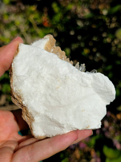 Gypse sur Albâtre de Saragosse en Espagne