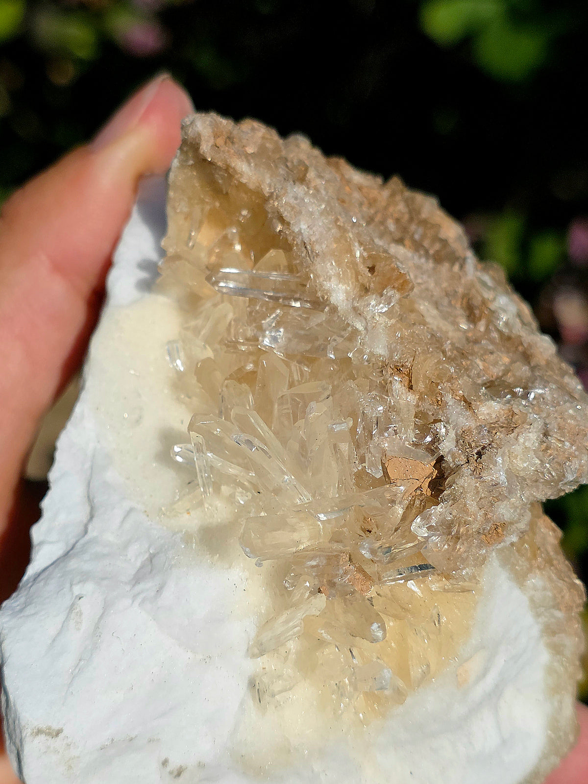 Gypse sur Albâtre de Saragosse en Espagne