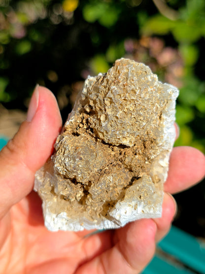  Calcédoine brute du Poitou, France