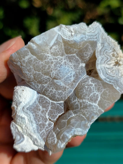  Calcédoine brute du Poitou, France