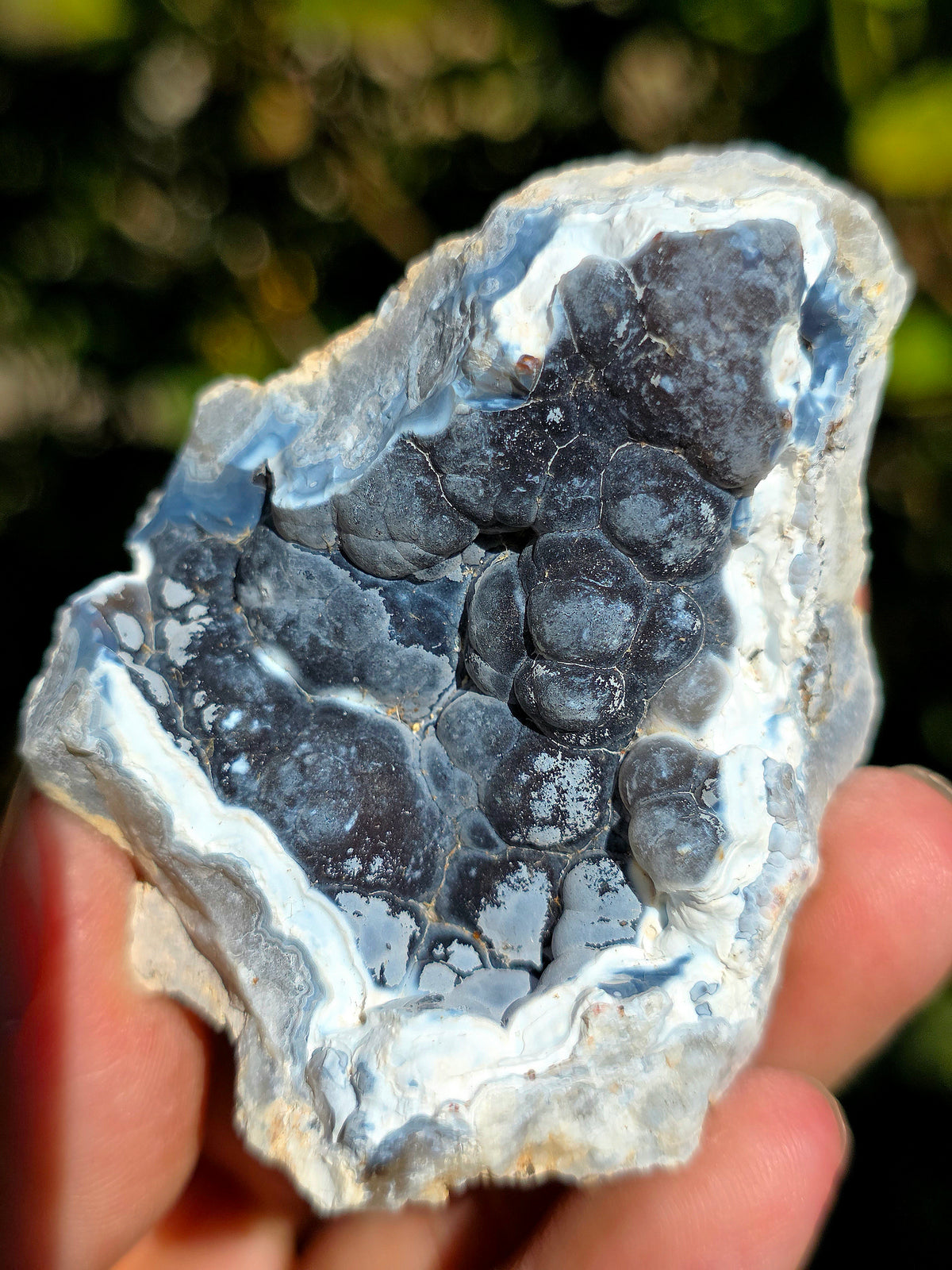 Calcédoine bleue brute du Poitou
