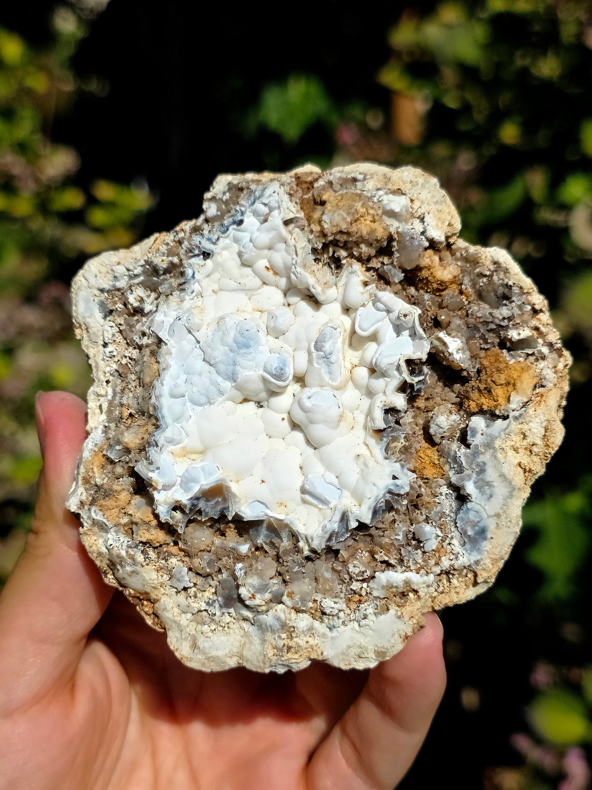 Calcédoine du Poitou dans sa matrice
