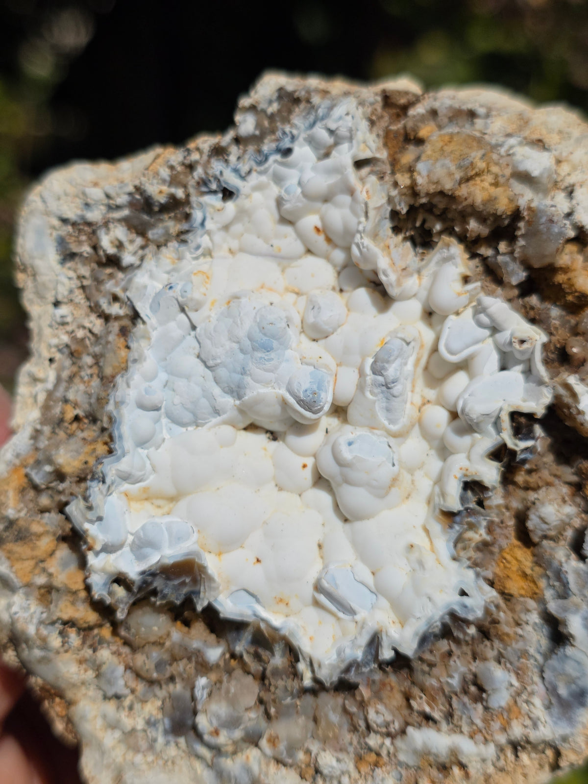 Calcédoine du Poitou dans sa matrice