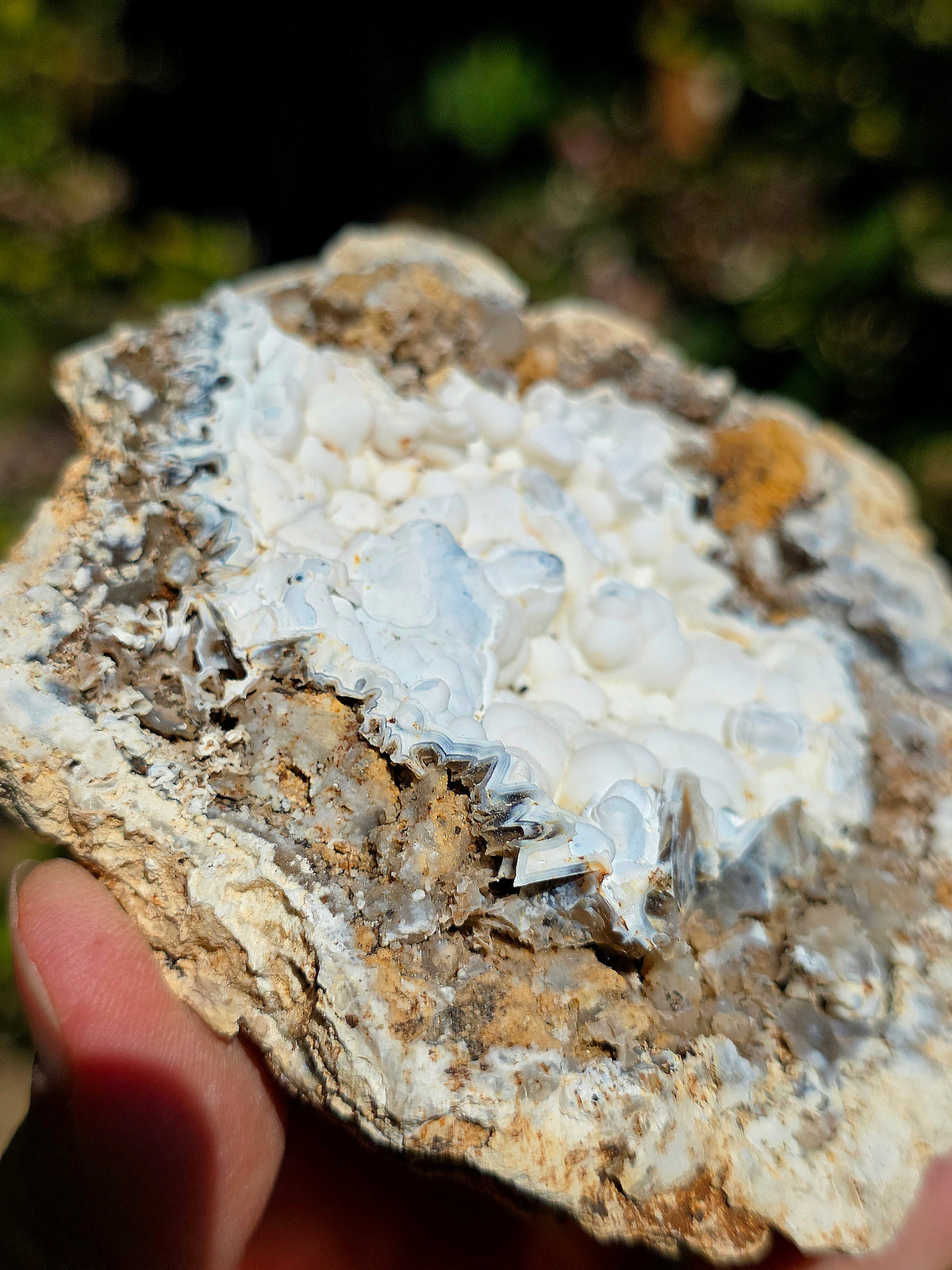 Calcédoine du Poitou dans sa matrice