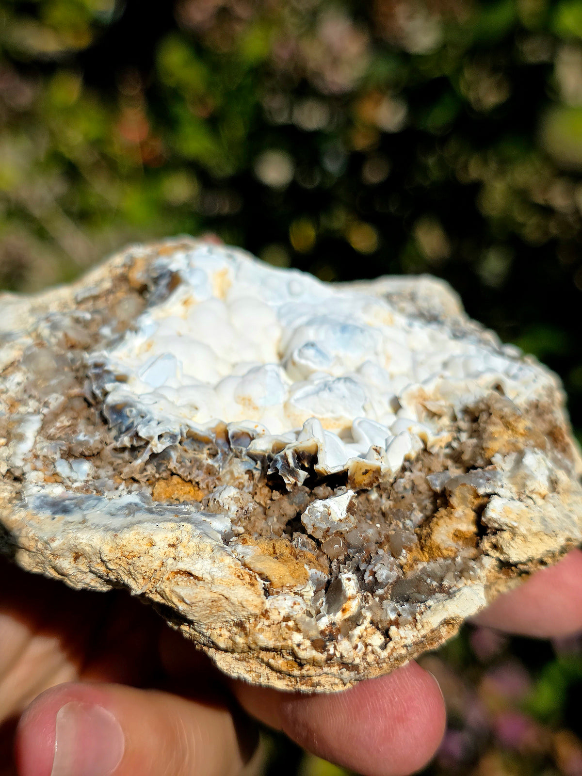 Calcédoine du Poitou dans sa matrice