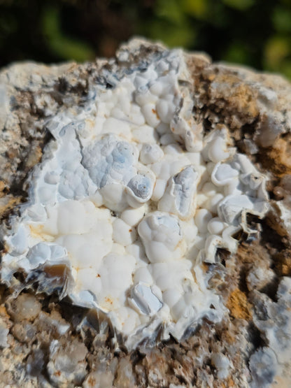 Calcédoine du Poitou dans sa matrice