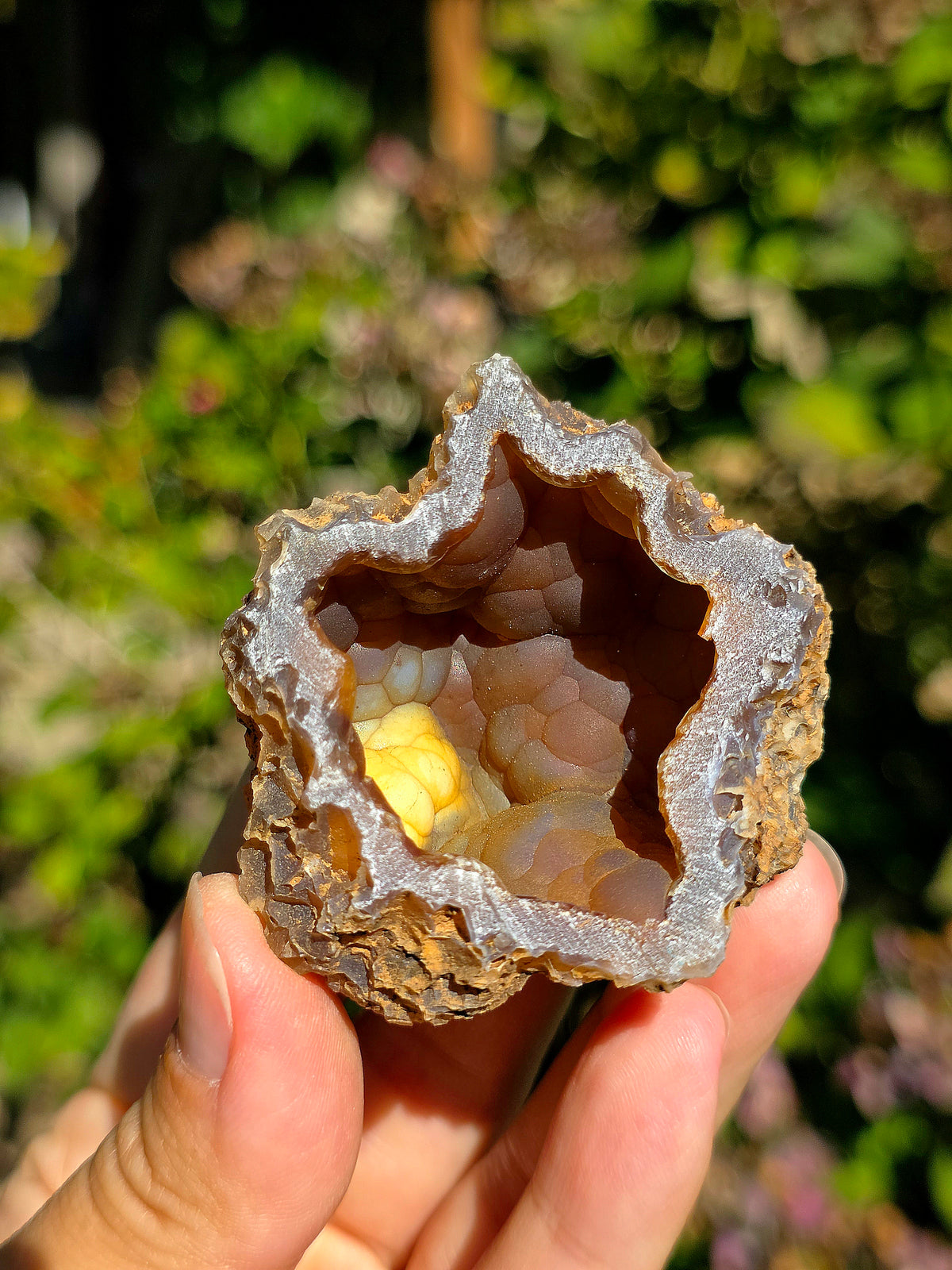 Calcédoine jaune du Poitou, France
