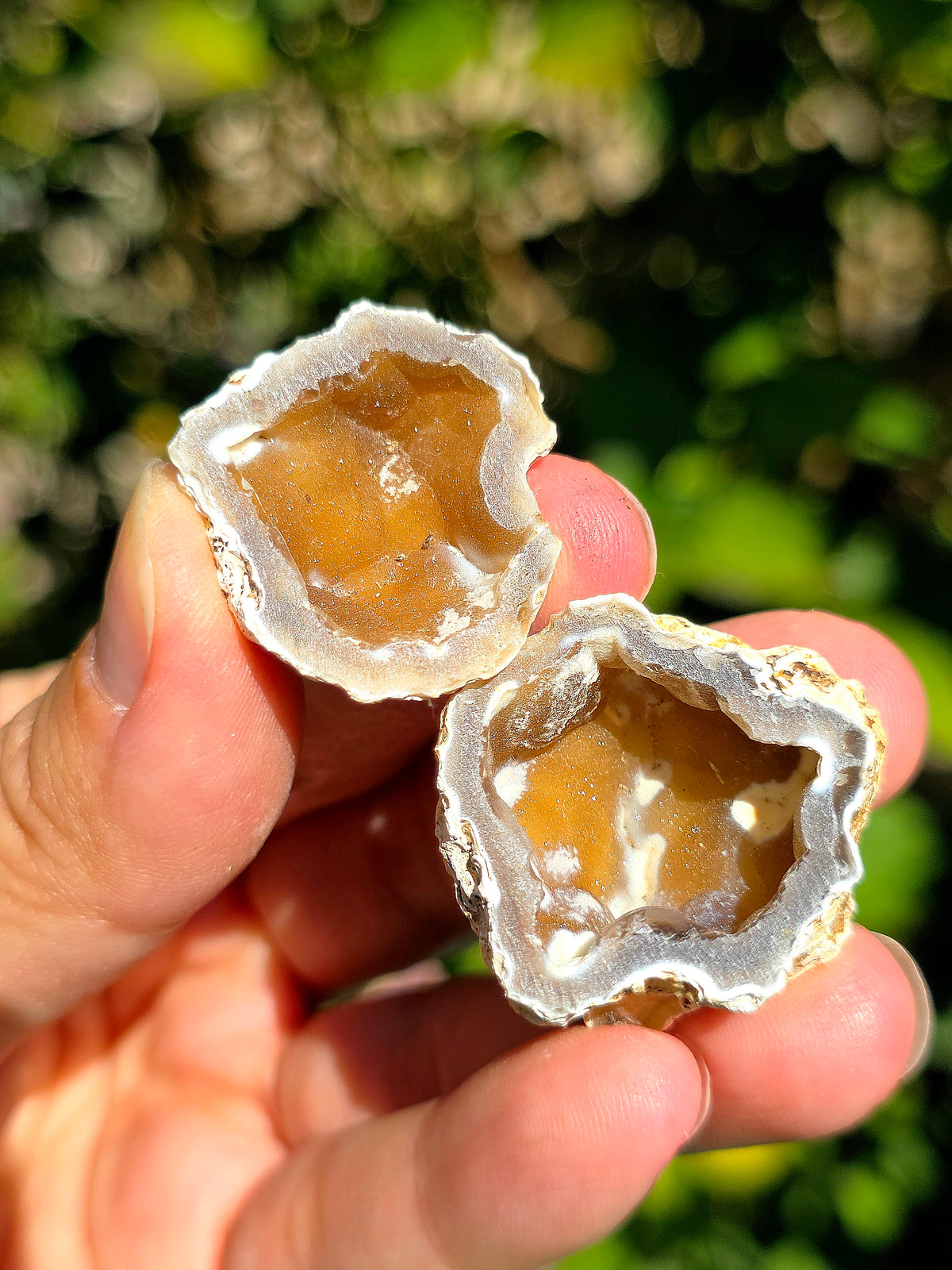 Calcédoine entière cristallisée du Poitou