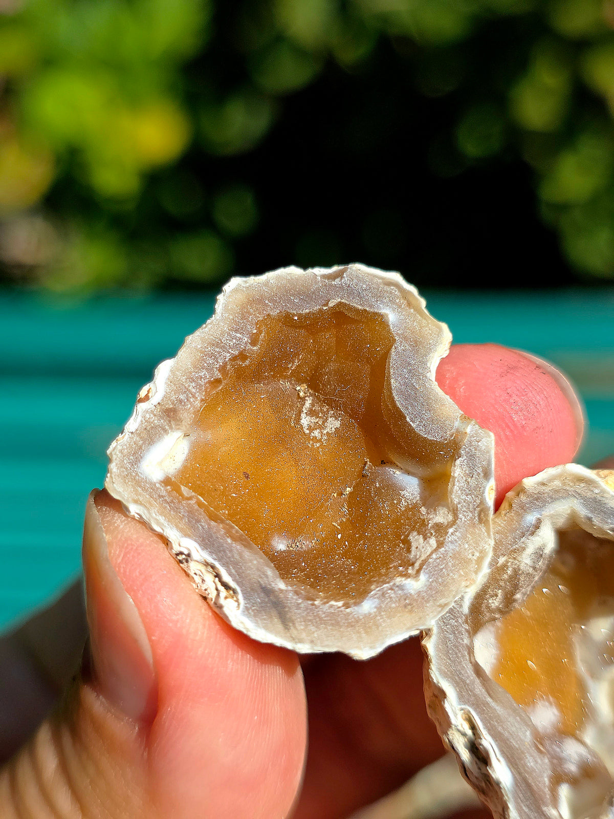 Calcédoine entière cristallisée du Poitou