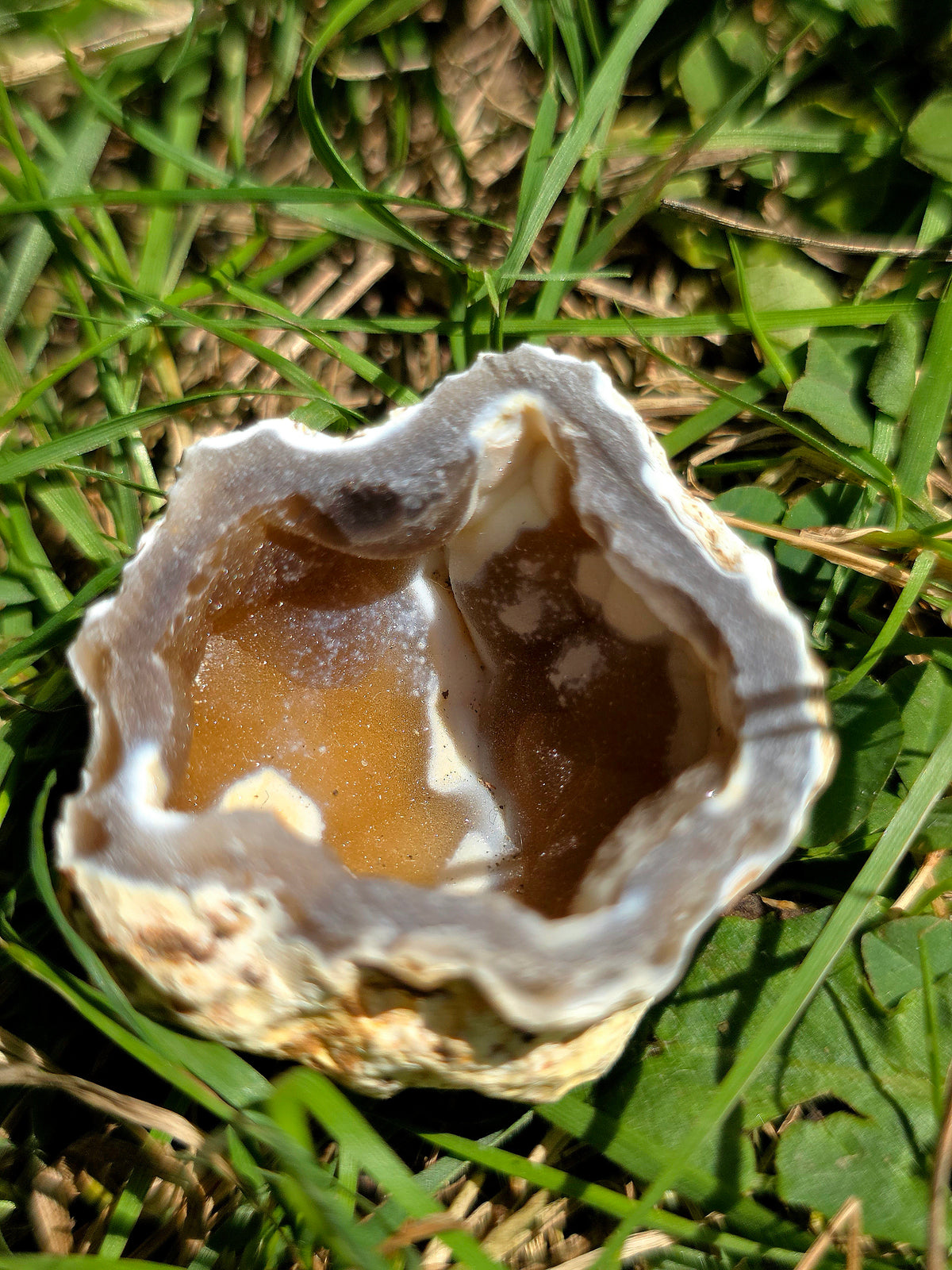 Calcédoine entière cristallisée du Poitou