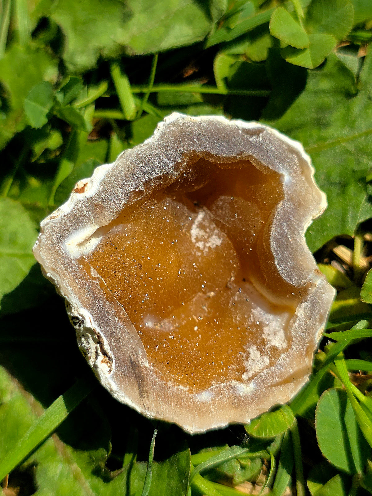 Calcédoine entière cristallisée du Poitou