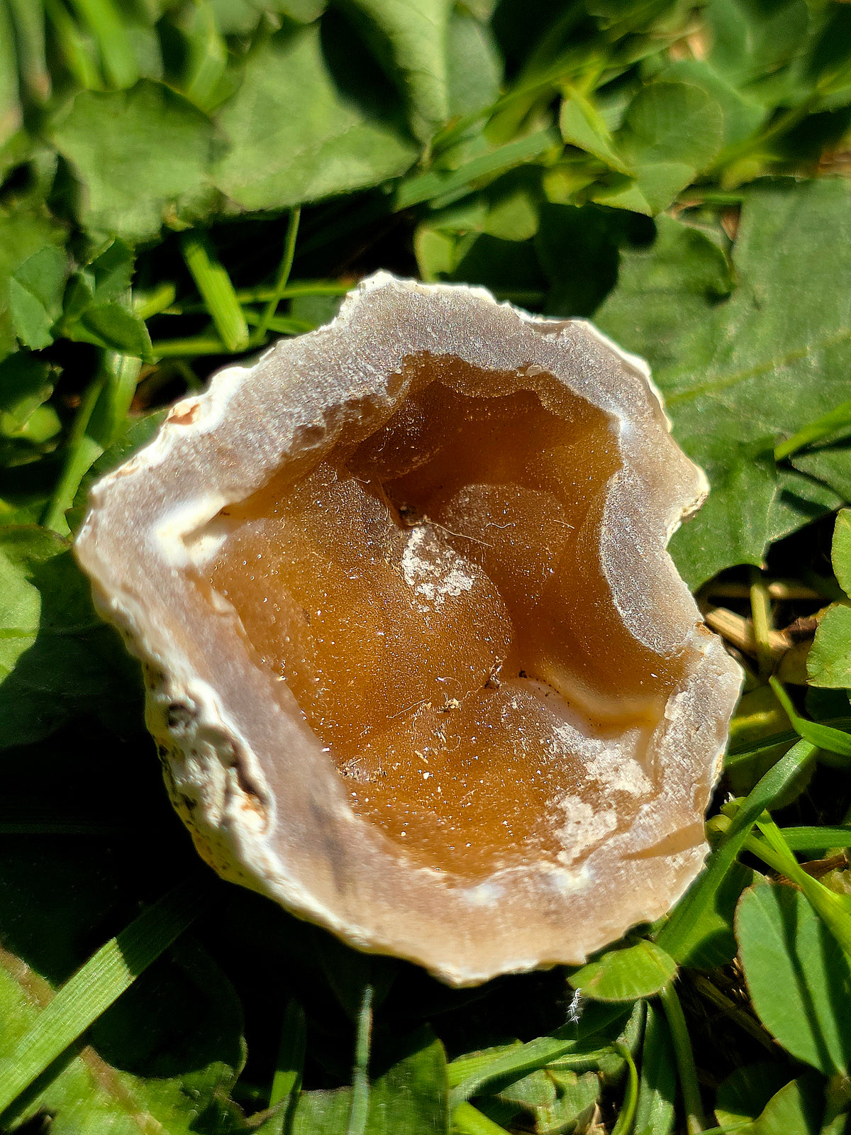 Calcédoine entière cristallisée du Poitou