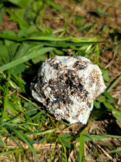 Calcédoine du Poitou orangée