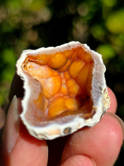 Calcédoine du Poitou orange