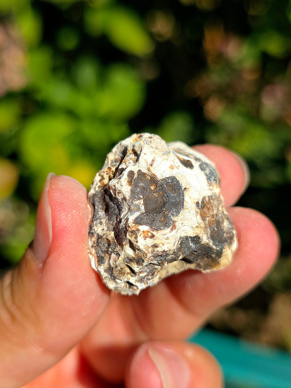 Calcédoine du Poitou orange