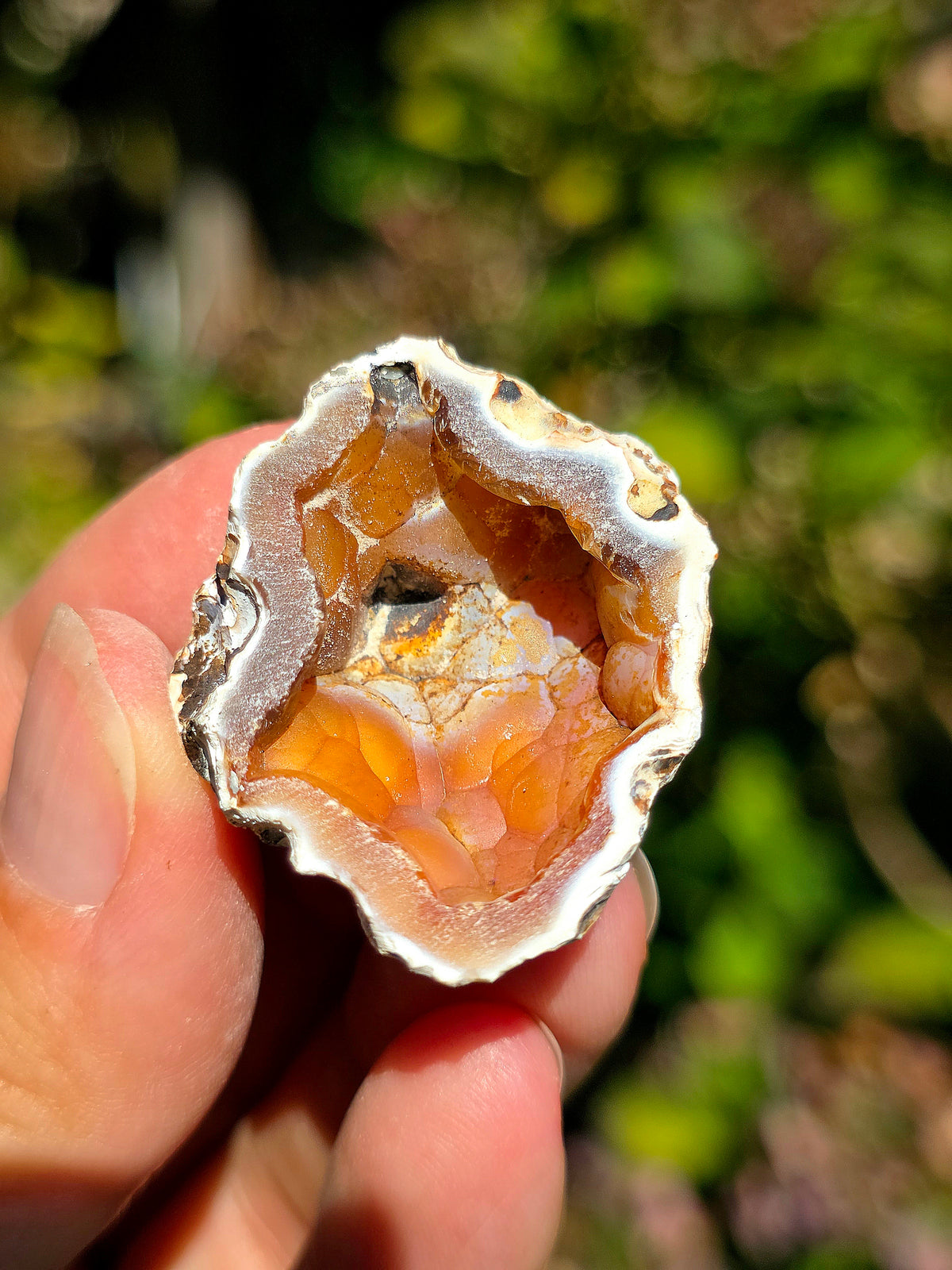 Calcédoine orangée du Poitou