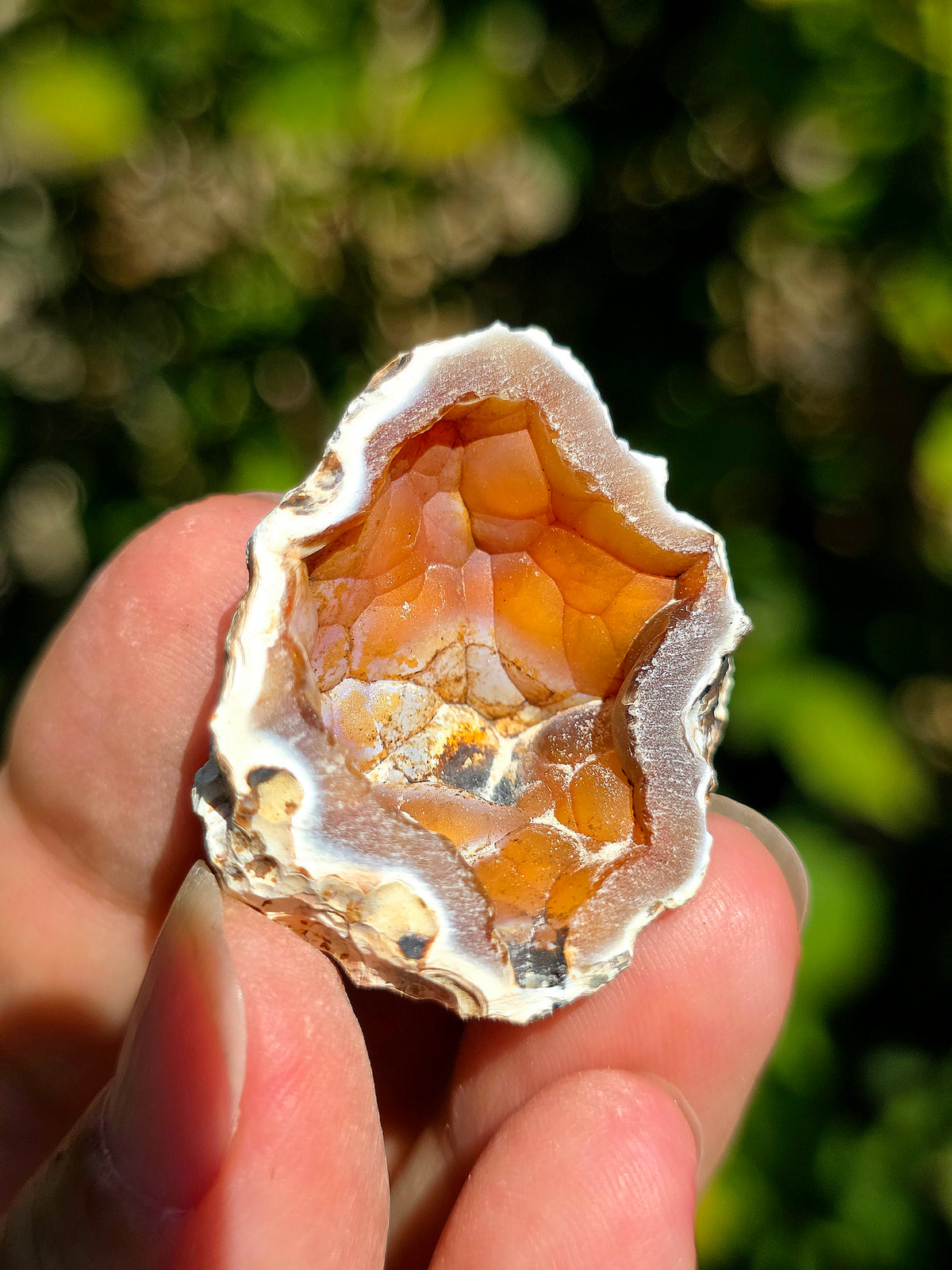 Calcédoine orangée du Poitou