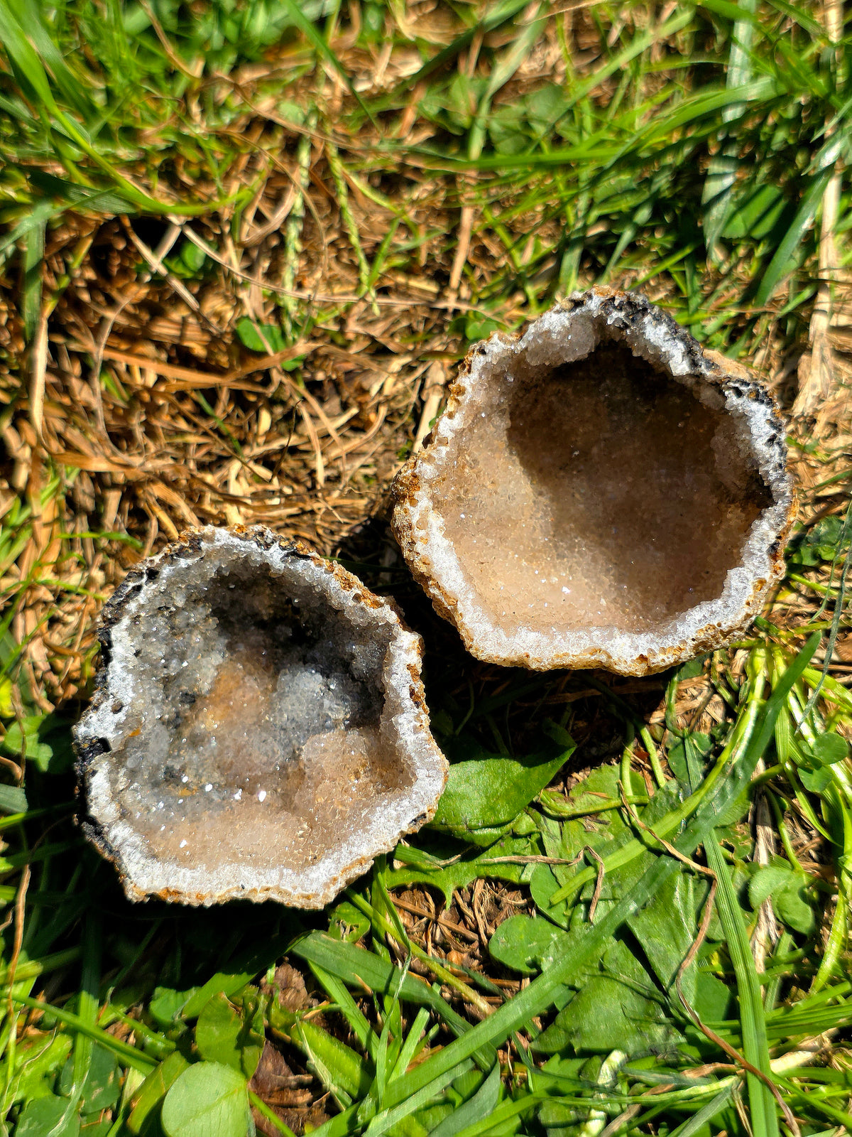 Calcédoine cristallisée et entière du Poitou