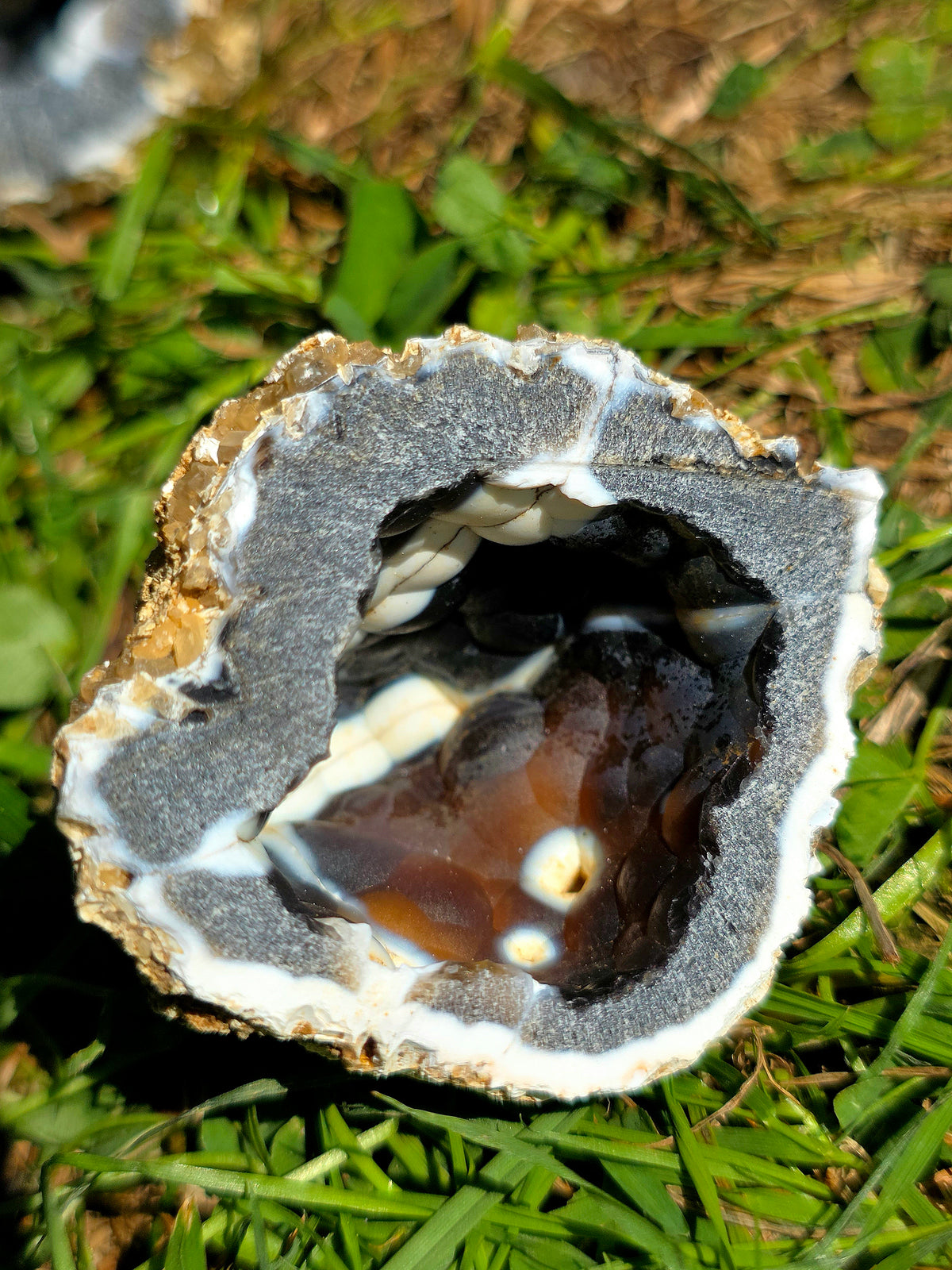 Géode entière de Calcédoine noire du Poitou