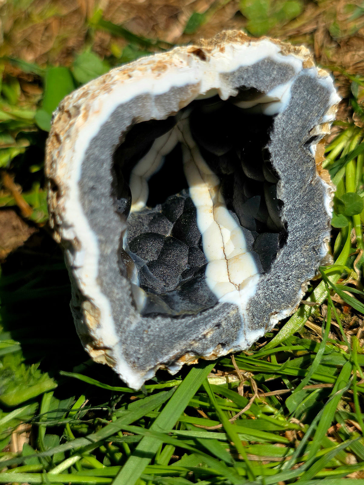 Géode entière de Calcédoine noire du Poitou
