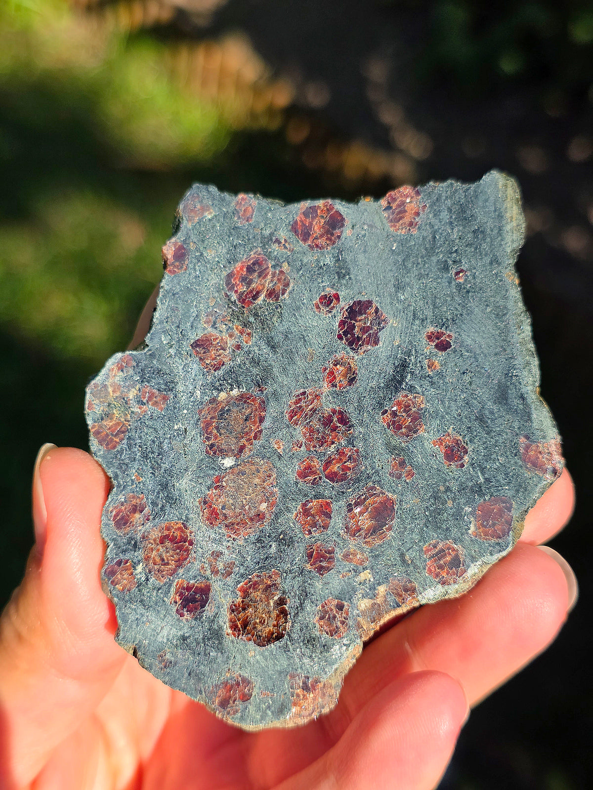 Tranche d'Eclogite à Grenats Pyrope d'Italie