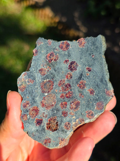 Tranche d'Eclogite à Grenats Pyrope d'Italie