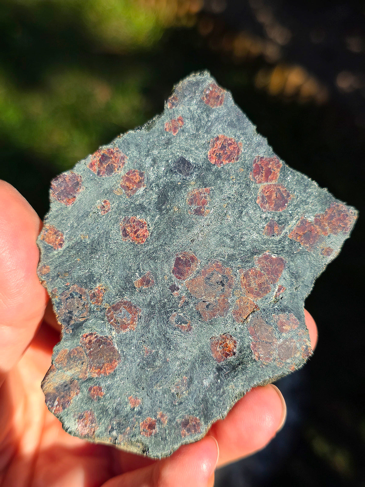 Tranche d'Eclogite à Grenats Pyrope d'Italie