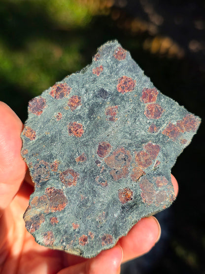 Tranche d'Eclogite à Grenats Pyrope d'Italie