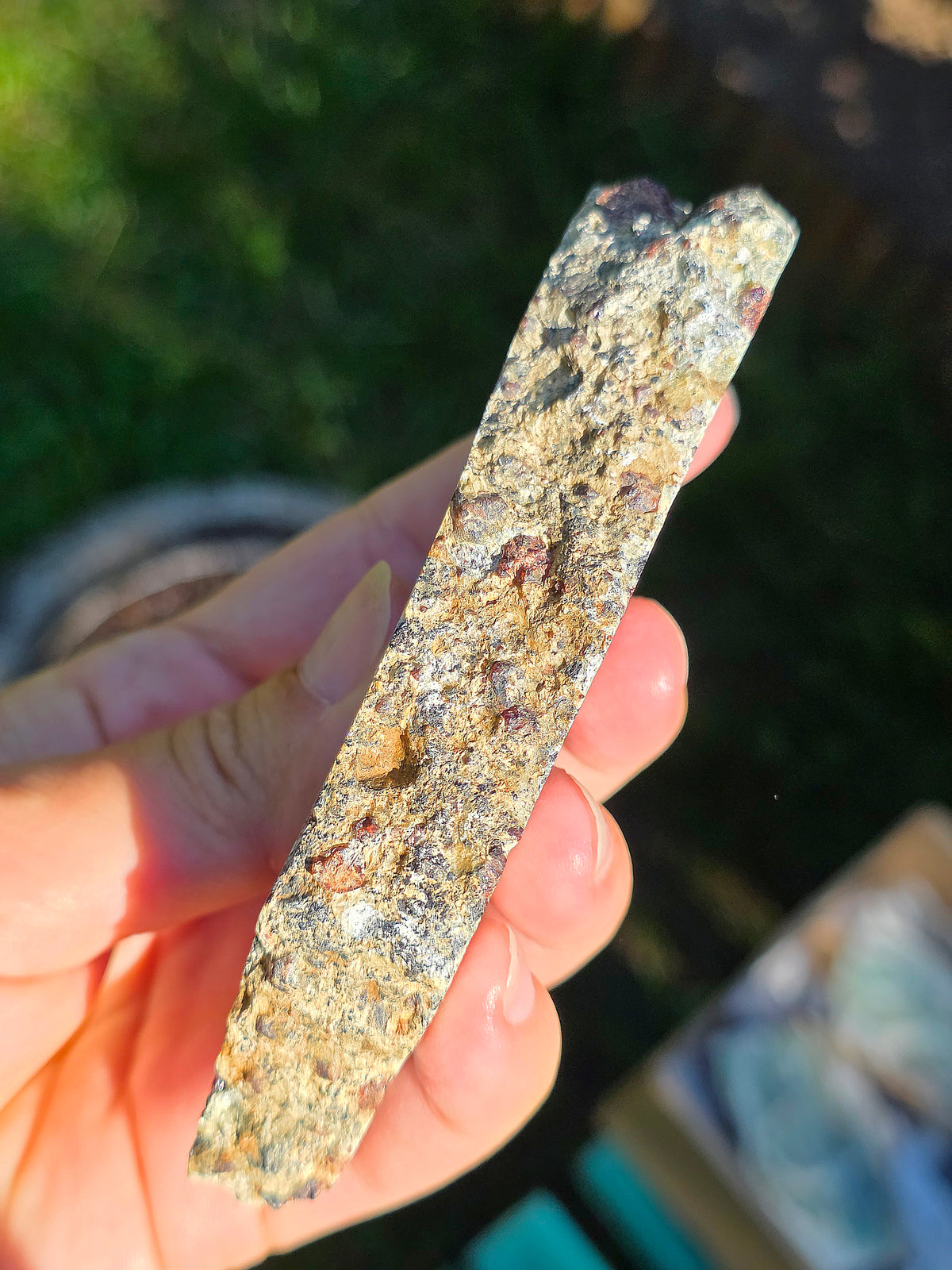 Tranche d'Eclogite à Grenats du Val d'Aoste