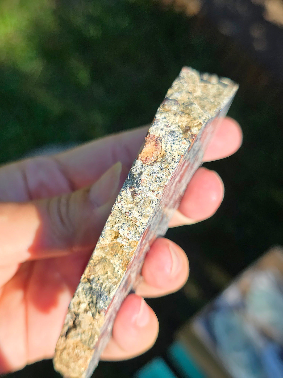 Tranche d'Eclogite à Grenats du Val d'Aoste