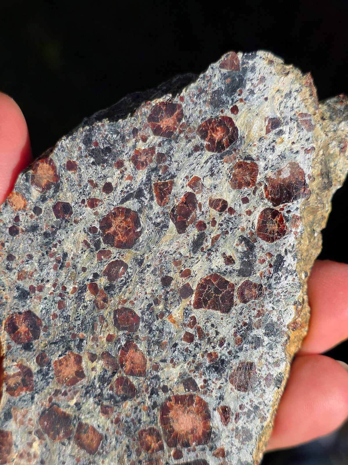 Tranche d'Eclogite à Grenats du Val d'Aoste